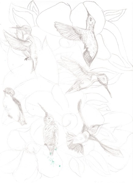 Hummingbirds