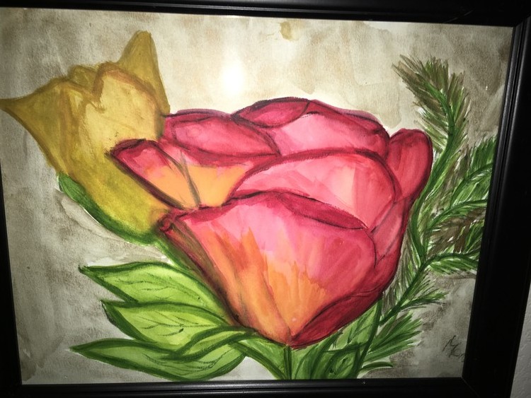 Roses