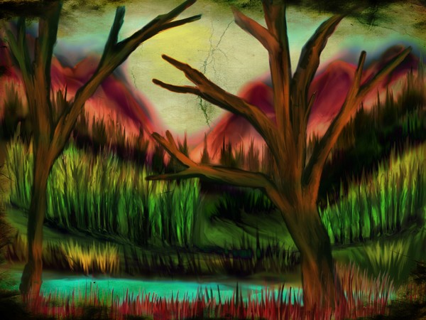 The Lake