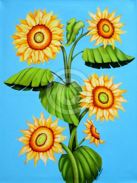 Sunflower Family