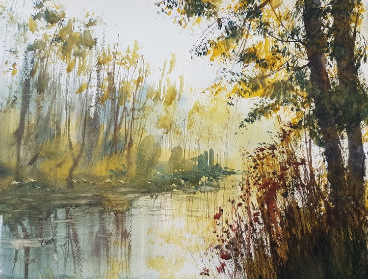 Reflections