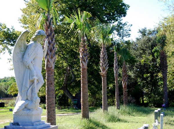 cemetery in Charleston