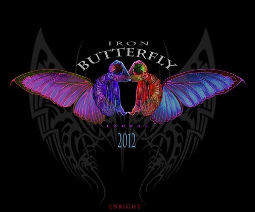 Larvae >>> Iron Butterfly
