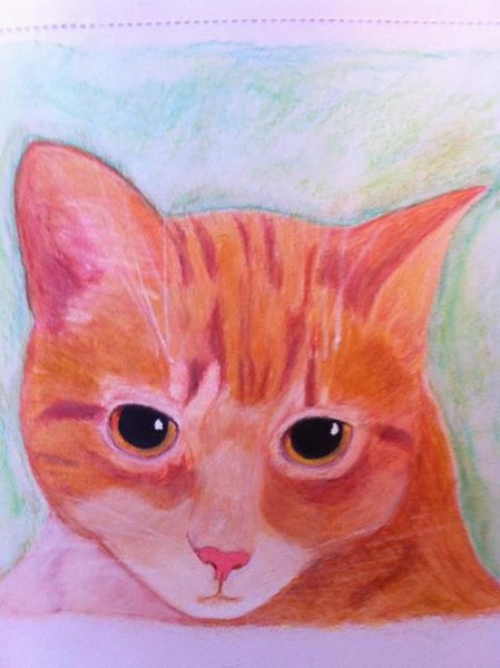 Ginger Cat