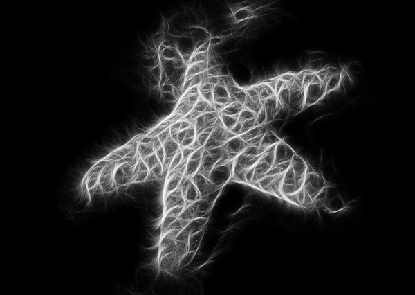 Starfish