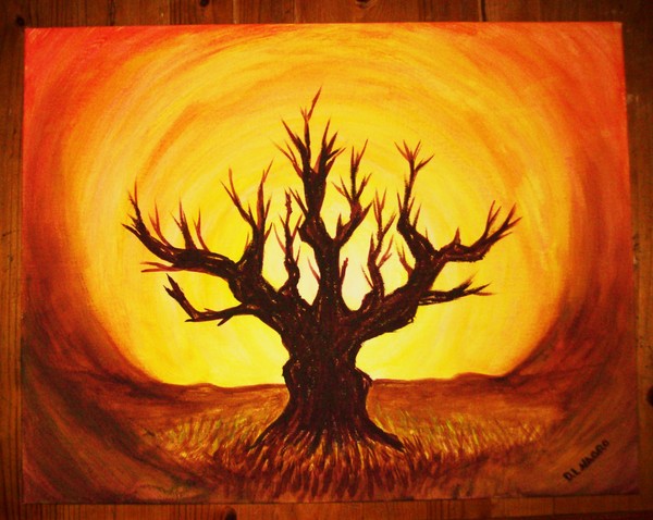 old tree new me