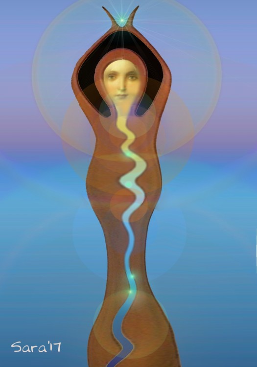 Cocoon