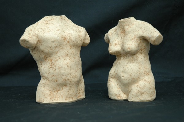 Torso M/F
