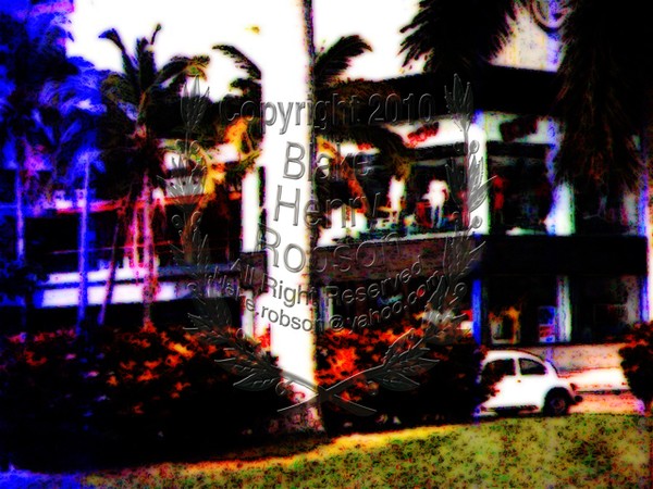 Bow tropical store image