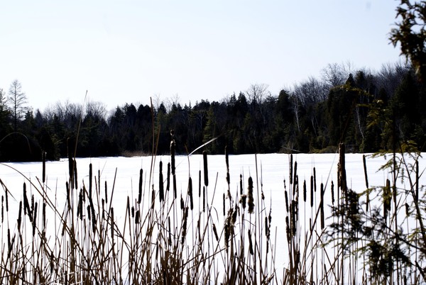 Crawford Lake