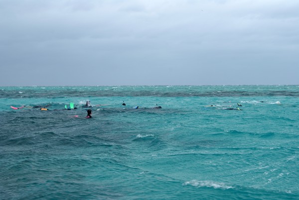 Snorkeling
