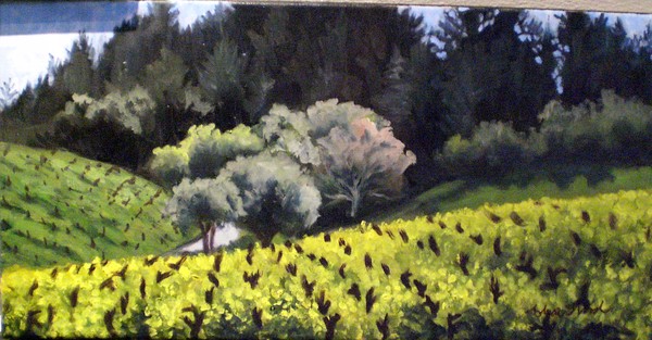 Mustard in Spring