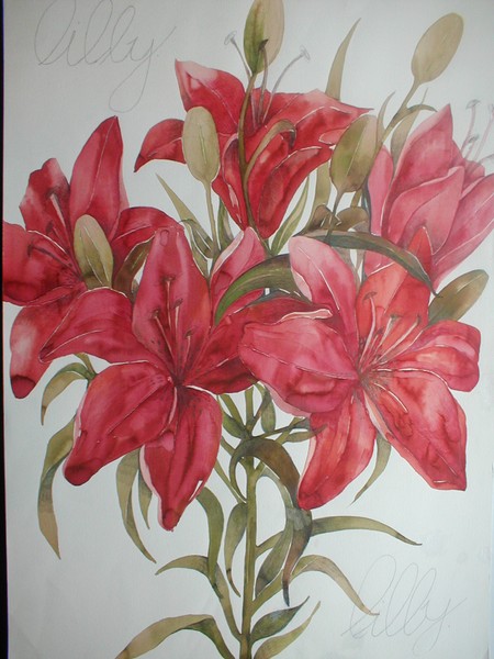 Lillies