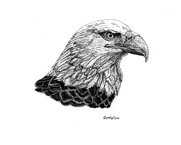 American Eagle