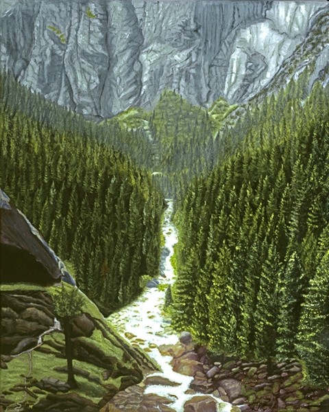 Wilderness With Stream