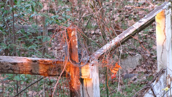 When you least expect it, Jesus is there