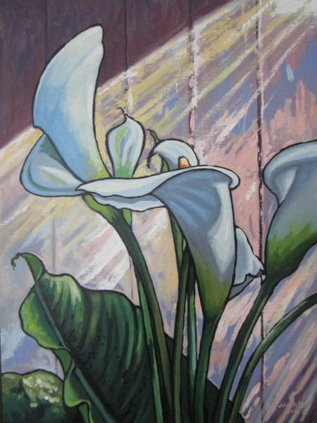 Calla Lilly 2