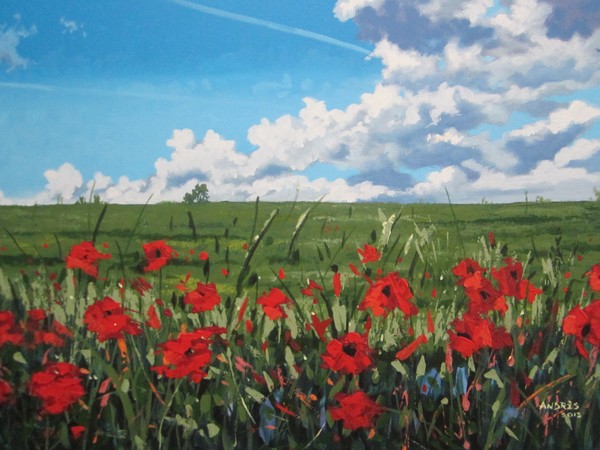 Poppies 2