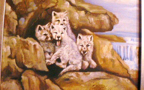 the wolf pack