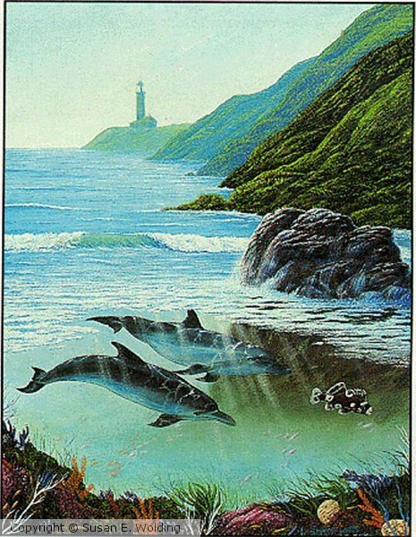 Lighthouse Cove