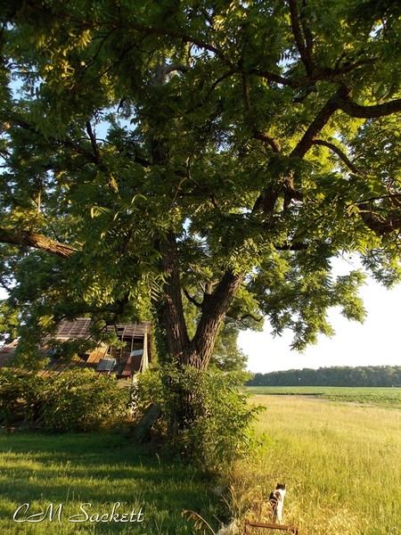 DSCN0230