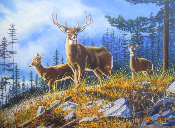 Autumn Deer in a Clearing