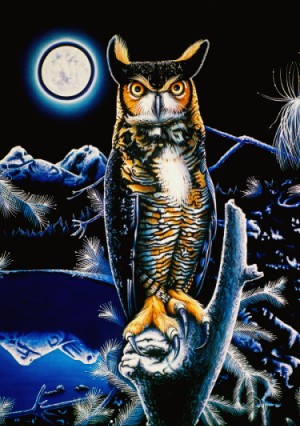 Great Horned Owls, Central Oregon