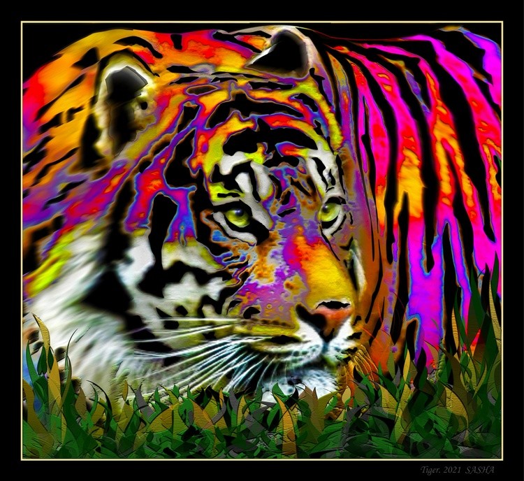 Tiger