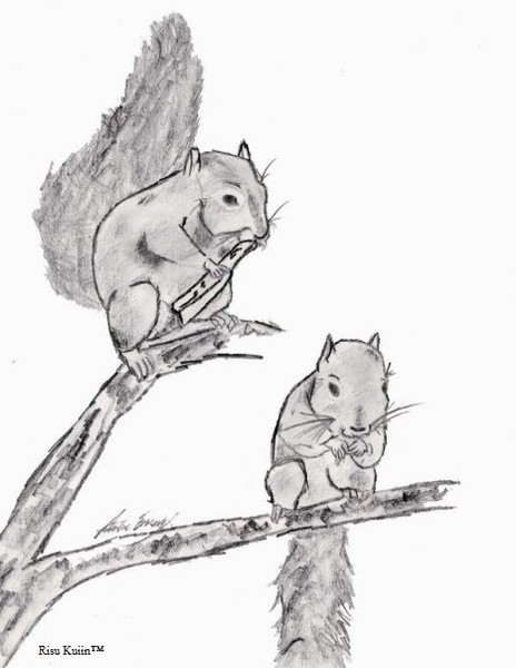 Squirrels 
