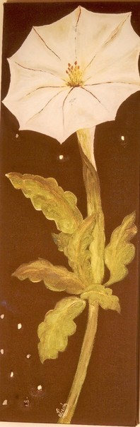Flower 1
