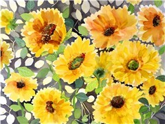 Girasol