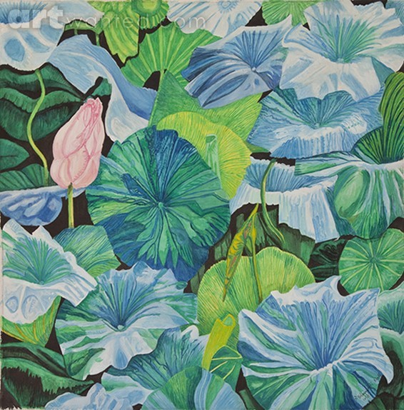 Waterlily Square