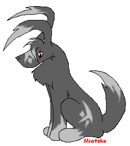 Kom