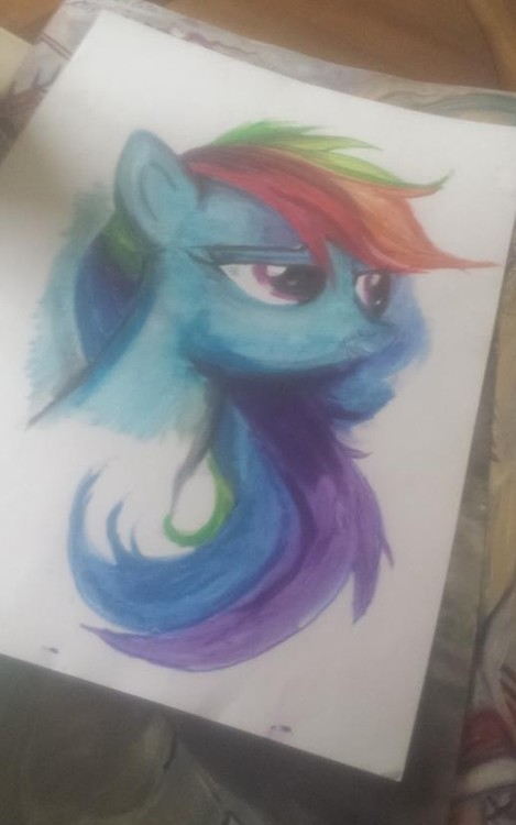 Rainbow dash 