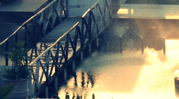 Miss walking along you