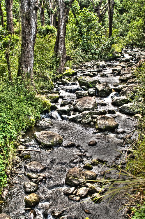 DSC7338STREAM