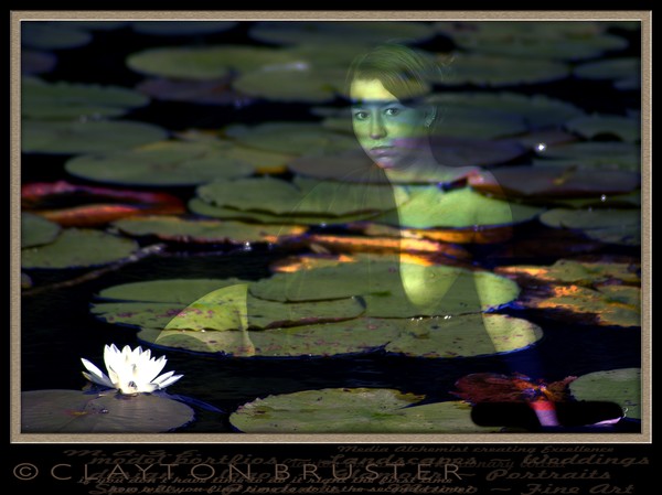 The Pond