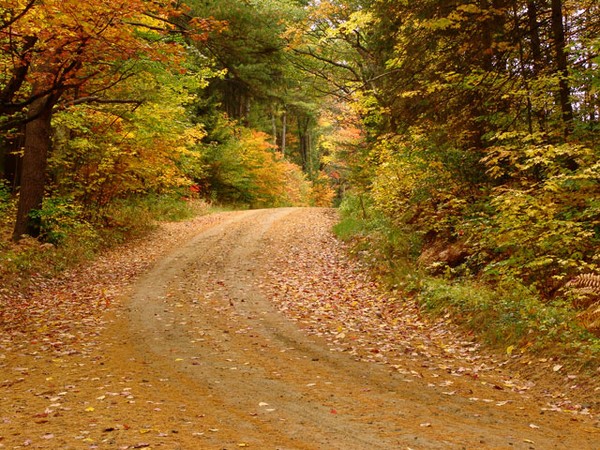 A Road Less Travelled