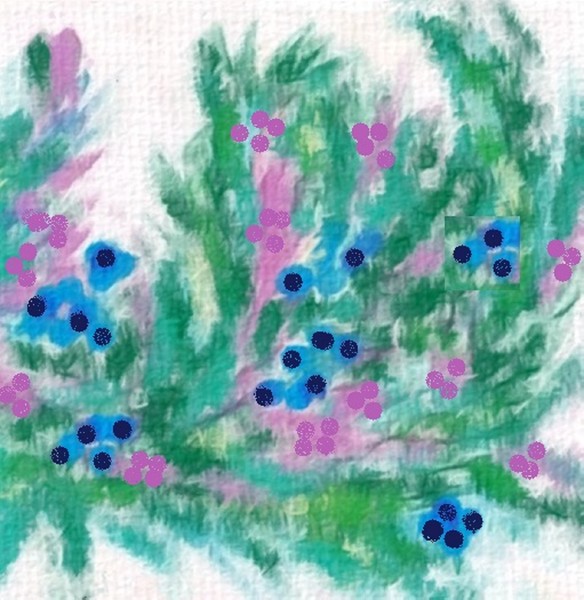 Its the berries