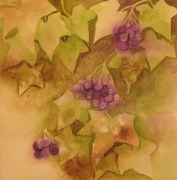 Ivy 3