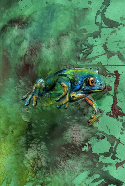 Frog emerge. 