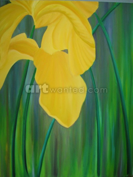 Yellow Orchids