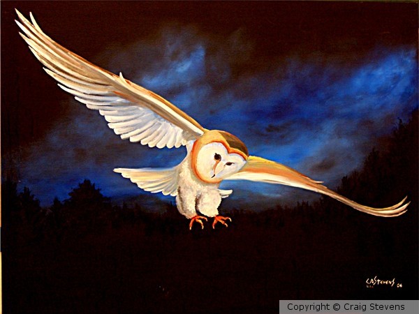 Owl For Zoo School in Nashville