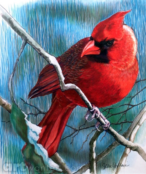 Winter Color