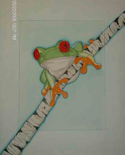 Red Eye Tree Frog