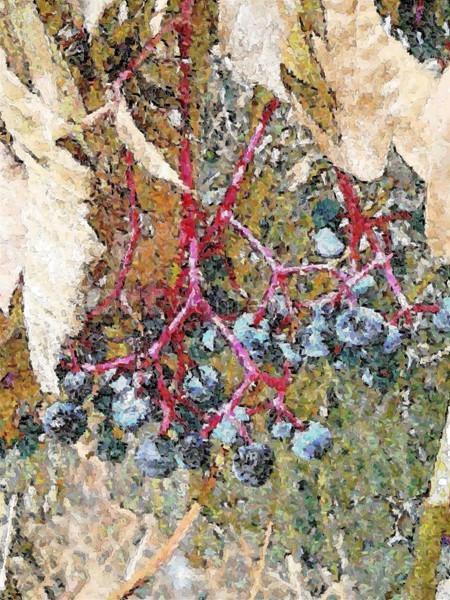 Autumn Blue Berries