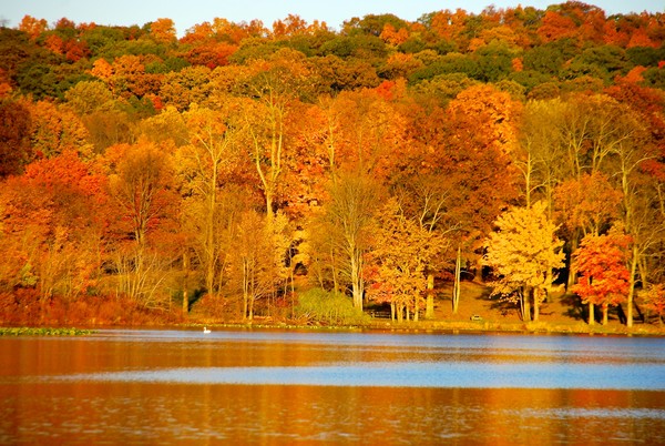Rockland Lake