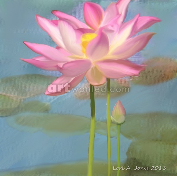 Water Lilies