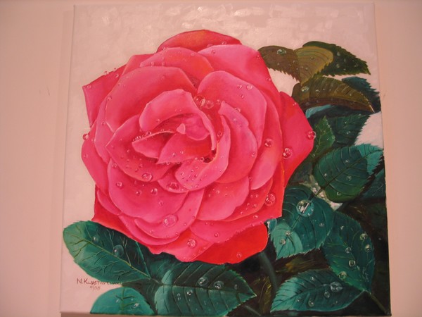 rose with raindrops