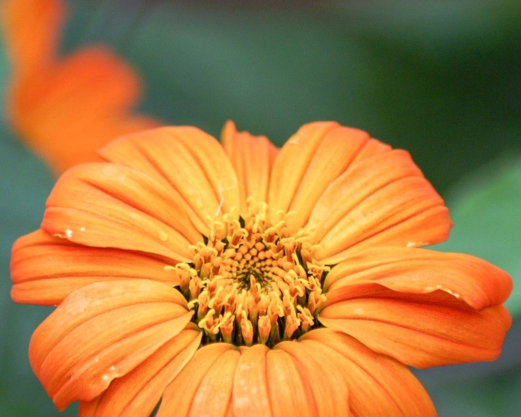 PICT0023-2